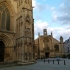 York York