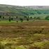 York Moors York Moors