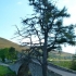 East Highlands East Highlands