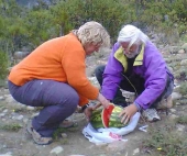 5-Kilo-Melone
