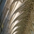 Winchester Winchester