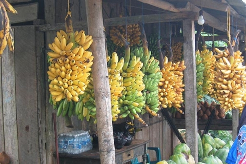 Machala - Patacones Machala - Patacones