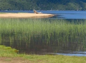 Lago Falkner