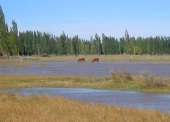 Sarmiento