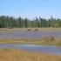 Sarmiento