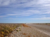 Ruta 40 durch die Pampa