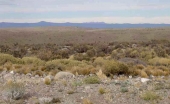 ArgentinischePampa
