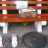 Forrest Gump war kurz mal austreten Forrest Gump war kurz mal austreten
