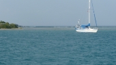Little Bay