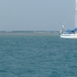 Little Bay Little Bay