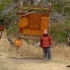Wanderweg zur Laguna Torre Wanderweg zur Laguna Torre