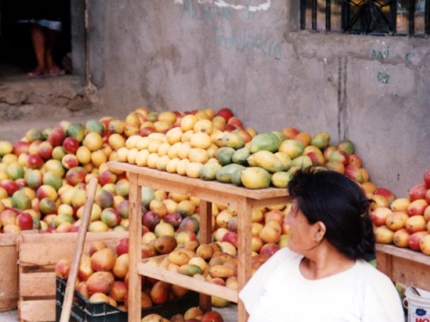 Chiclayo - Mangos im Ueberfluss Chiclayo - Mangos im Ueberfluss