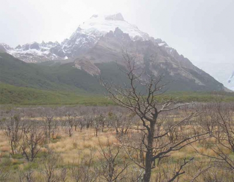 El Chaltén - Cerro Solo El Chaltén - Cerro Solo