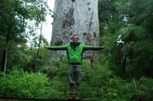 Tane Mahuta
