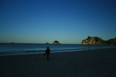 Hahei Beach