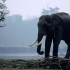 Chitwan-Nationalpark Chitwan-Nationalpark