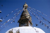 Affentempel