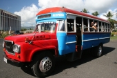 Local Bus