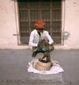 Schlangenbeschwörer in Jaipur