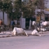Straßenszene in Varanasi Straßenszene in Varanasi
