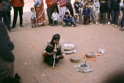 Schlangenbeschw&ouml;rer in Patan