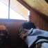 Hostal Suzia Hostal Suzia