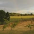 Ausblick beim Abendessen (Vulkan Osorno) Ausblick beim Abendessen (Vulkan Osorno)