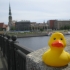 Sammy in Riga