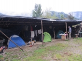 Campen