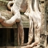 Angkor Angkor