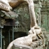 Angkor Angkor
