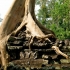 Angkor Angkor