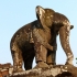 Angkor Angkor