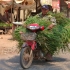 Siem Reap Siem Reap