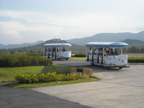 Koh Samui - Samui Airport Koh Samui - Samui Airport