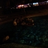 Poolparty Poolparty
