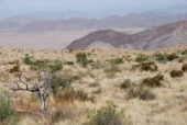 Namibia 2011 / 2012