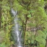 Erskine Falls Erskine Falls