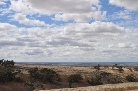 Renmark