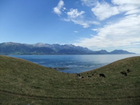 Kaikoura
