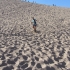 Sandboarden Sandboarden