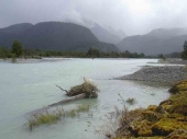 Fluss in der Nähe des Lago Yelcho