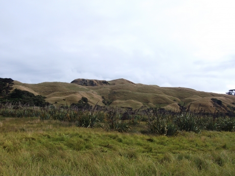 Wharariki Beach