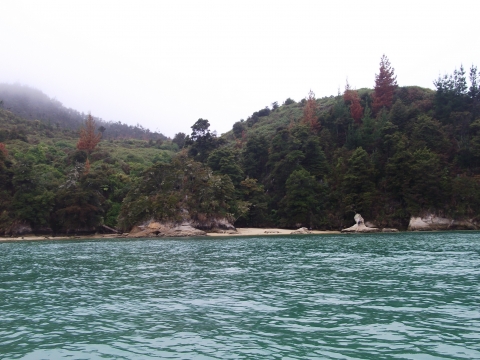 Marahau