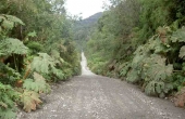Carretera Austral durch den Parque Pumalin