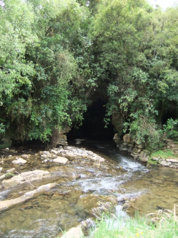 Waitomo Caves