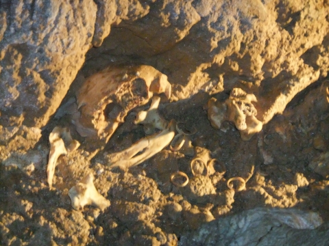Waitomo Caves