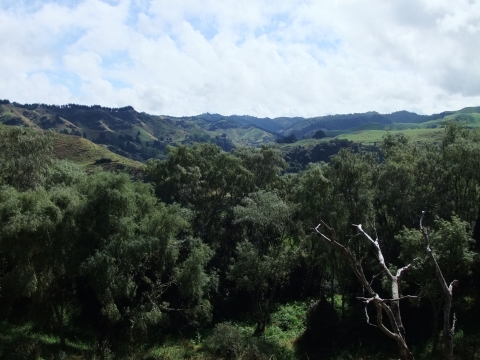 New Plymouth