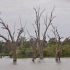 Der River Murray Der River Murray