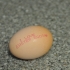 Frohe Ostern :) Frohe Ostern :)